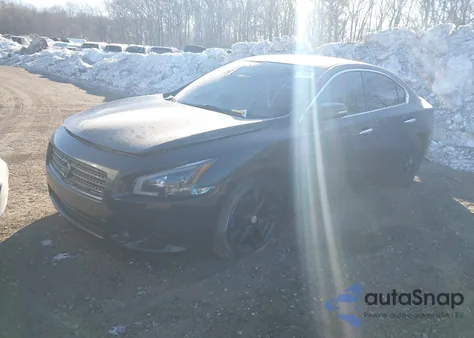 2010 Nissan Maxima 3.5 Sv z USA, uszkodzony, nr VIN 1N4AA5AP3AC850964